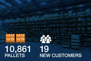 Murri Marketing Expect Website Timeline Image